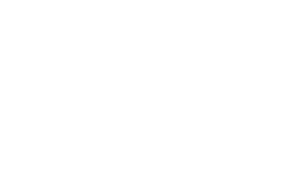 Analyst Ink